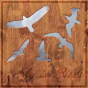Sky In Birds - Sky In Birds