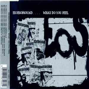 Ekoesofsound.... - What Do You Feel