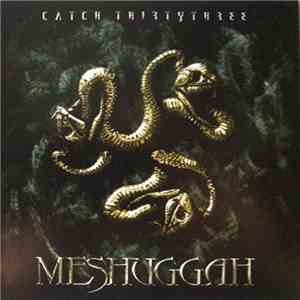 Meshuggah - Catch Thirtythree