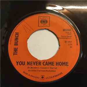 The Bunch  - You Never Came Home