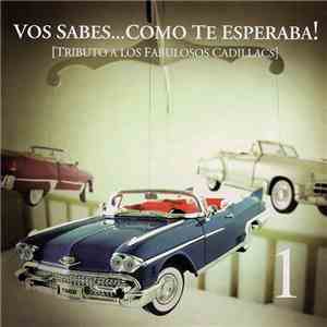 Various - Vos Sabes...Como Te Esperaba!: Tributo A Los Fabulosos Cadillacs  ...