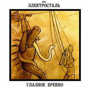 ВИА Электросталь - Глазное Бревно