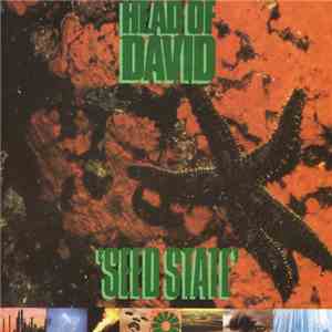 Head Of David - Seed State