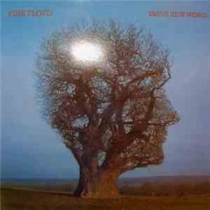 Pink Floyd - Brave New World