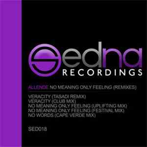 Allende - No Meanings Only Feeling (Remixes)