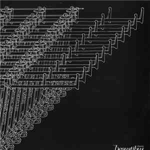 Fango - Tuono