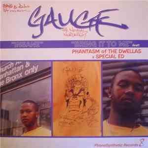 Gauge - Insane / Bring It To Me