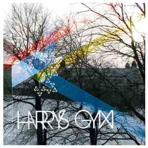 Harrys Gym - Harrys Gym