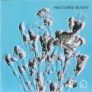 Various - Fractured Beauty