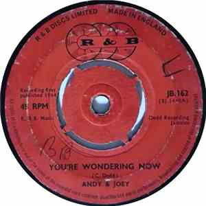 Andy & Joey - You're Wondering Now / You'll Never