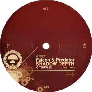 Falcon & Predator / Falcon - Shadow Depth / Retro (Noisia Remix)