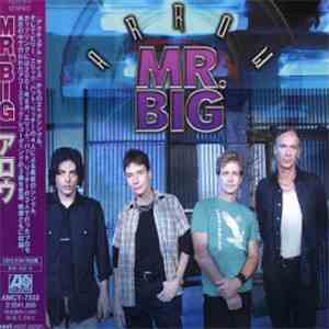 Mr. Big - Arrow
