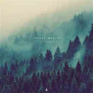 Takuya Morita - Fog Signal