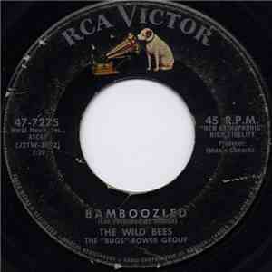 The Wild Bees - Bamboozled / Doctor Rock