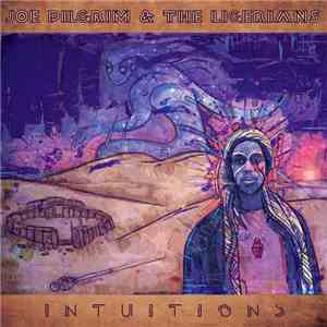 Brother Joe Pilgrim - Intuitions