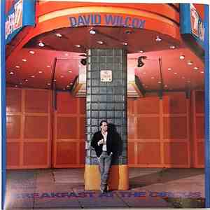 David Wilcox  - Breakfast At The Circus