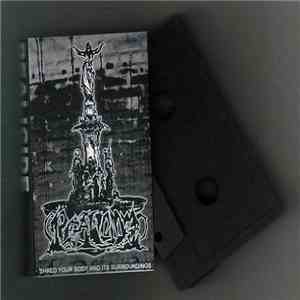Realicide - Shred Your Body And It's Surroundings
