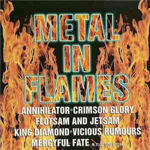 Various - Metal In Flames