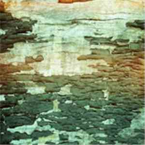 Connectedness Locus - When the Paint Peels