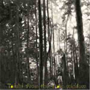 Taichi - From The Train Window
