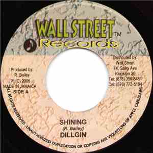 Dillgin - Shining