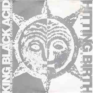 Hitting Birth Family Circus / King Black Acid & The Womb Star Orchestra - D ...