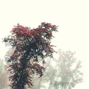 Nullingroots - Nullingroots