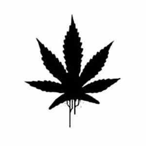 Numa Crew - Herbalist