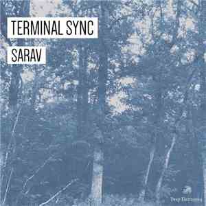 Terminal Sync - SARAV