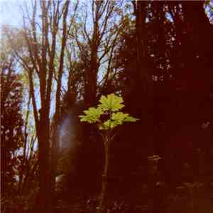 Benoît Pioulard - Stanza III