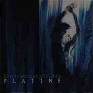 ElectroAcousticSilence - Flatime