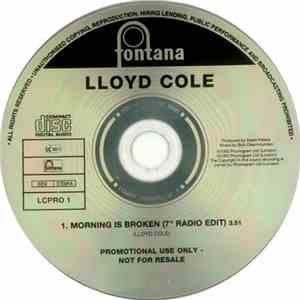 Lloyd Cole - Morning Is Broken