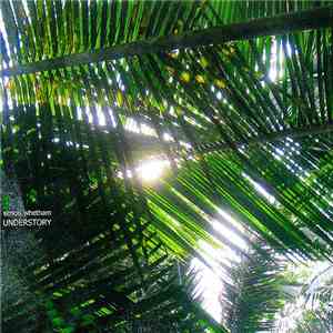 Simon Whetham - Understory