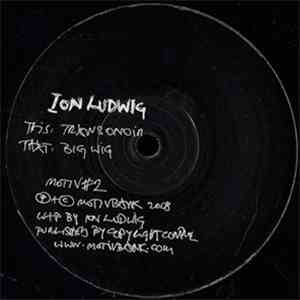 Ion Ludwig - Transonoir / Big Wig