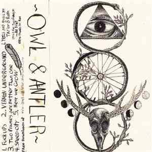 Owl And Antler - Owl & Antler