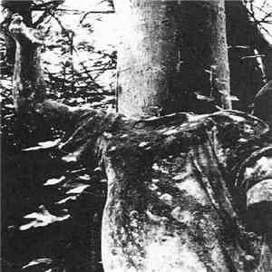 Froe Char - A New Swan's Death