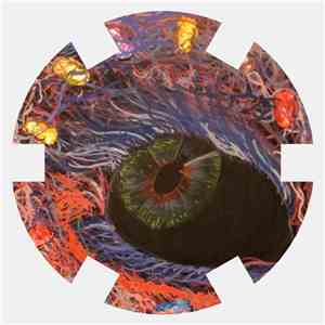 NeuteK - Fractality