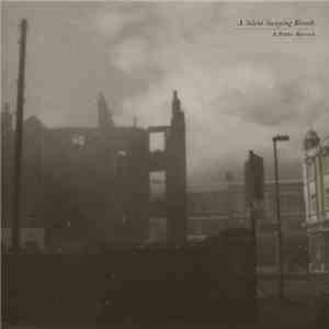 Pleq & Spheruleus & Various - A Silent Swaying Breath