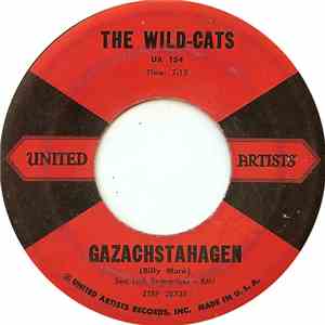 The Wild-Cats - Gazachstahagen
