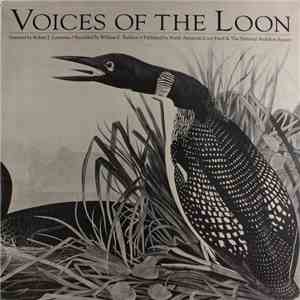 Loon - Voices Of The Loon