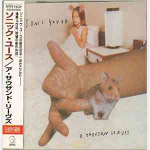 Sonic Youth - A Thousand Leaves