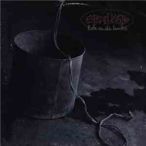 Spearhead - Hole In The Bucket