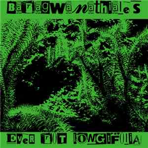 Baragwanathiales - Ever Rot Longifolia