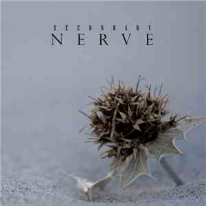 Secondary Nerve - Untitled