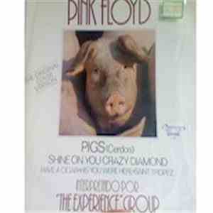 The Experience Group - Pink Floyd The Original Cover Version
