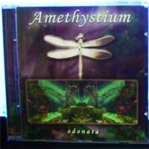 Amethystium - Odonata