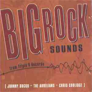 Johnny Socko - The Aurelians - Chris Coolidge - Big Rock Sounds