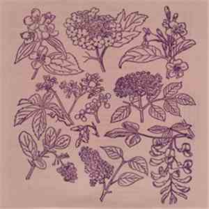Peter Fengler - Vegetarians