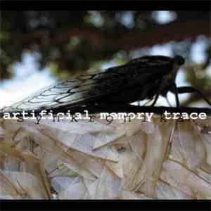 Artificial Memory Trace - Synkronika