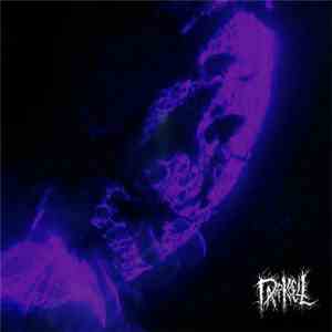 Darkcell - The Moon
